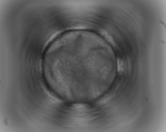 X0000097480300200803141941