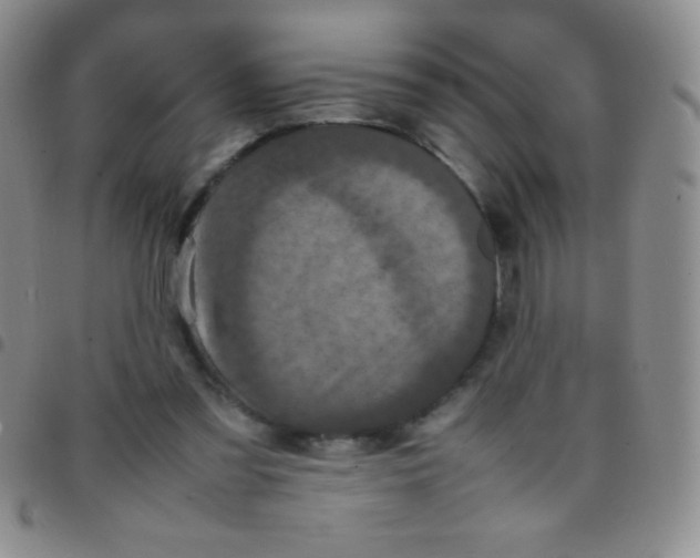 X0000097480301200803141940