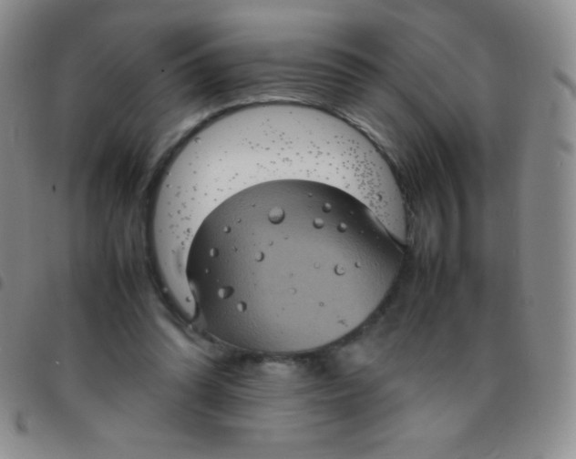 X0000097480302200803141940