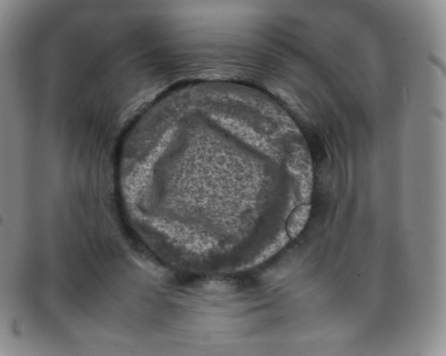 X0000097480303200803141940