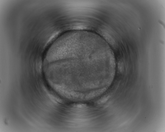 X0000097480304200803141940