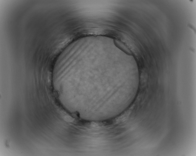 X0000097480305200803141940