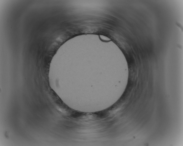 X0000097480307200803141940