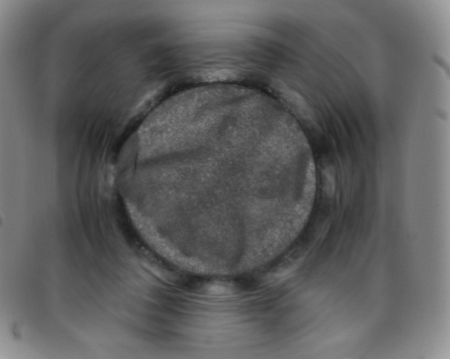 X0000097480308200803141940