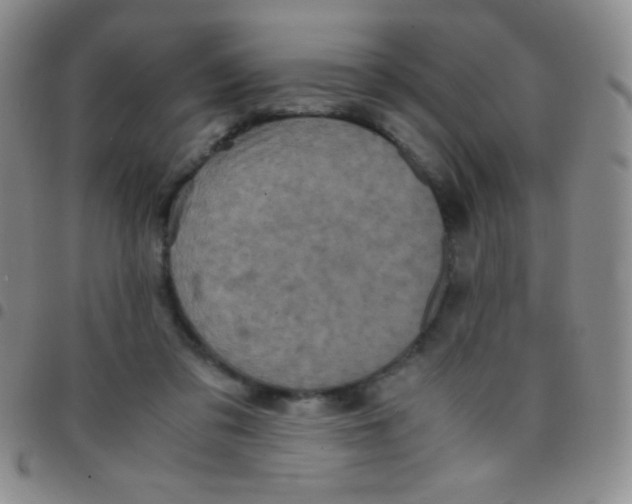 X0000097480309200803141940