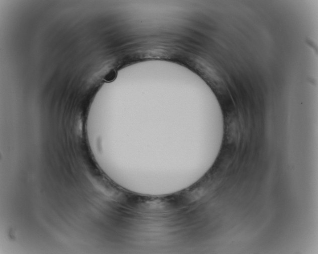 X0000097480310200803141940