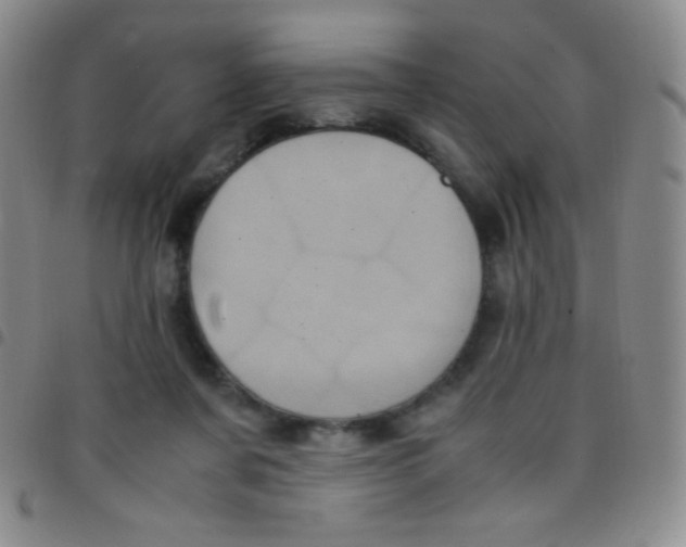 X0000097480311200803141940