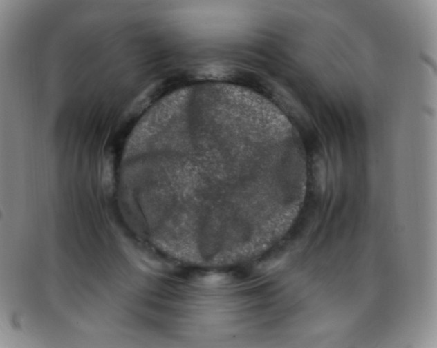 X0000097480312200803141940