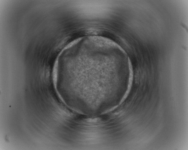 X0000097480314200803141940