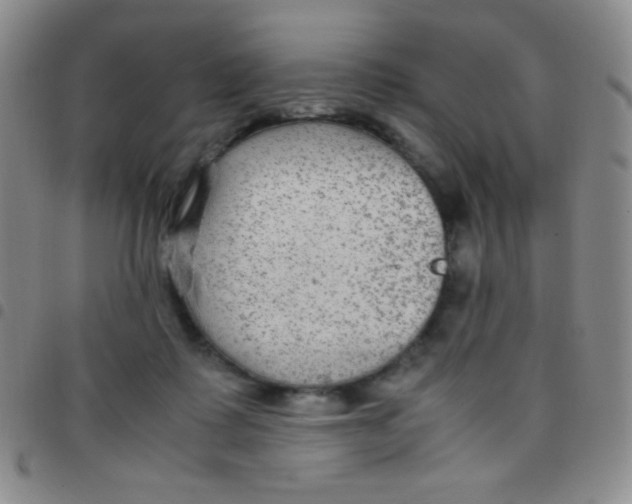 X0000097480315200803141940