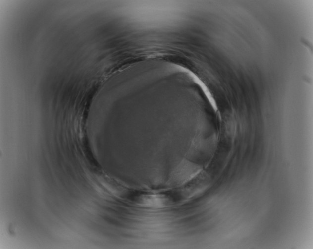 X0000097480316200803141940