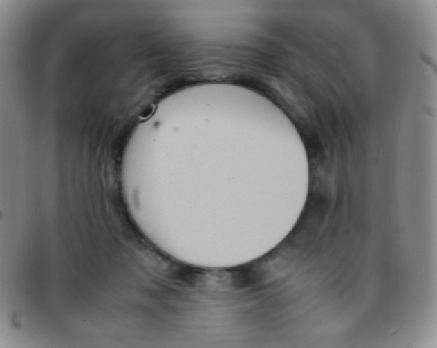 X0000097480317200803141940