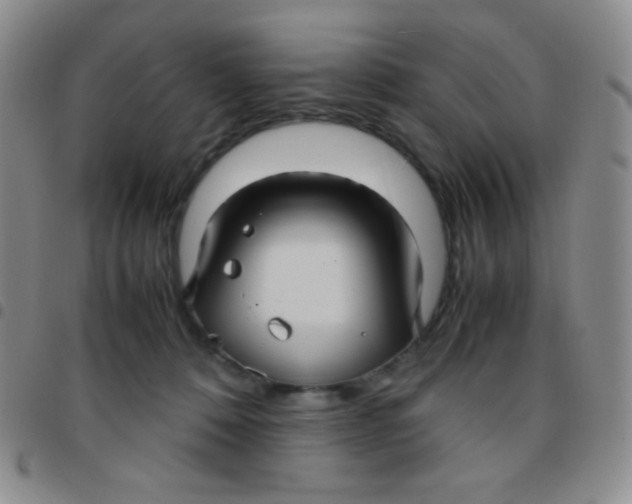 X0000097480320200803141940