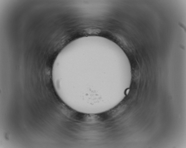 X0000097480321200803141940