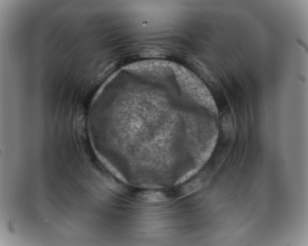 X0000097480322200803141940