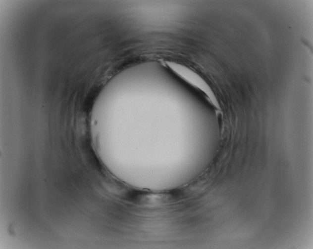 X0000097480323200803141940