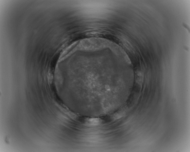 X0000097480324200803141940