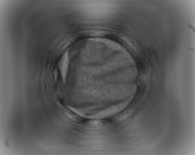 X0000097480325200803141940