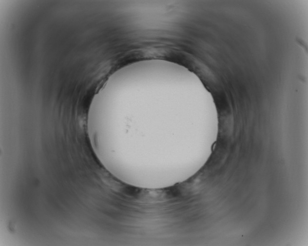 X0000097480329200803141940