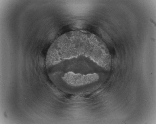 X0000097480331200803141940