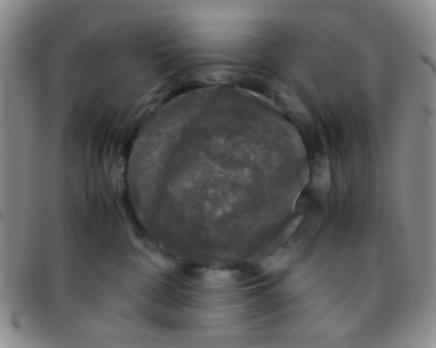 X0000097480332200803141940