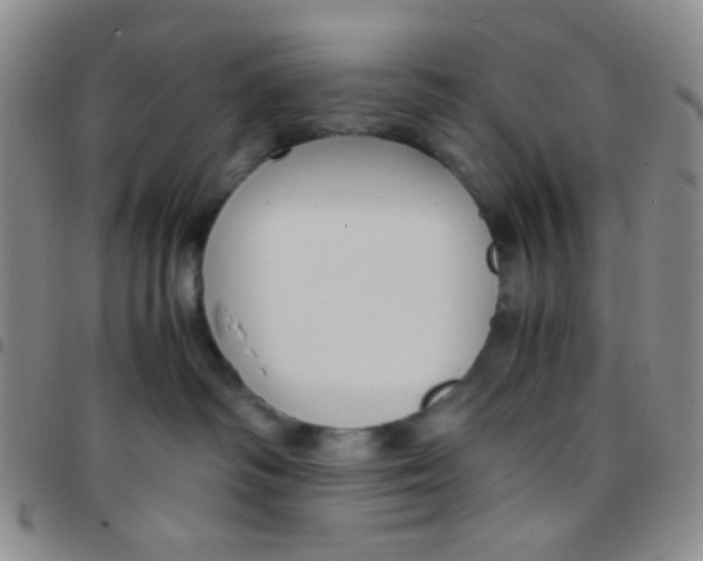 X0000097480334200803141940