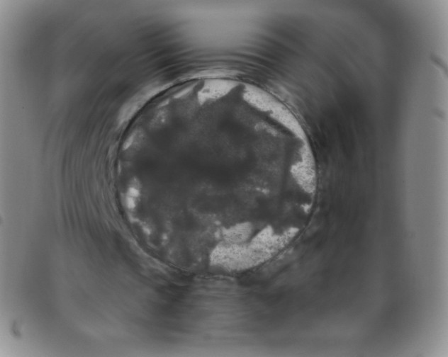 X0000097480337200803141939