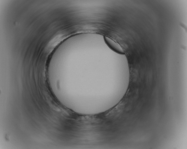 X0000097480338200803141939