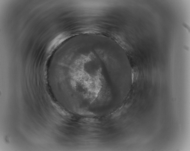 X0000097480339200803141939