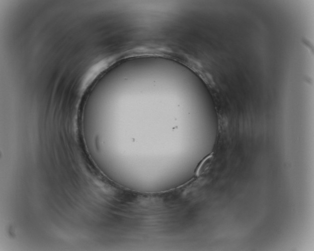 X0000097480340200803141939