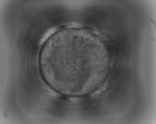 X0000097480341200803141939