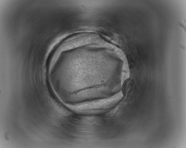 X0000097480342200803141939