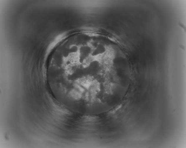 X0000097480343200803141939