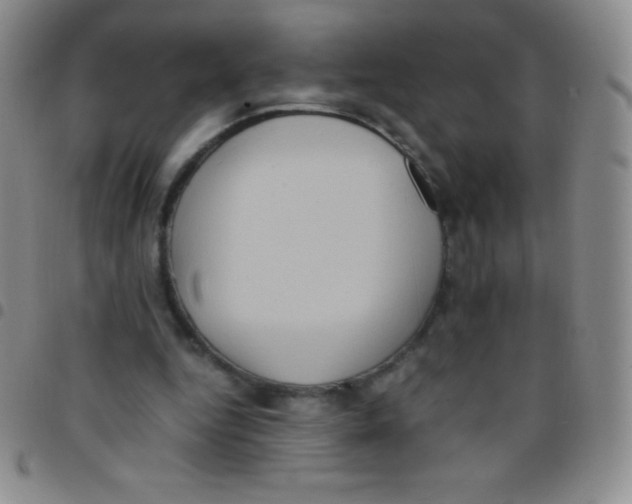 X0000097480344200803141939