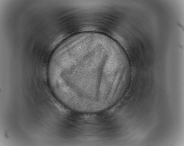 X0000097480345200803141939