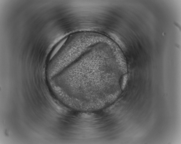 X0000097480346200803141939