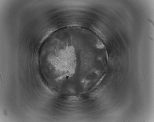 X0000097480347200803141939