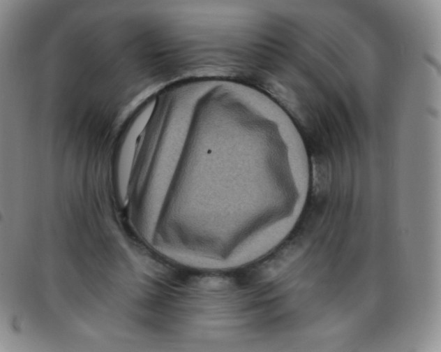 X0000097480348200803141939