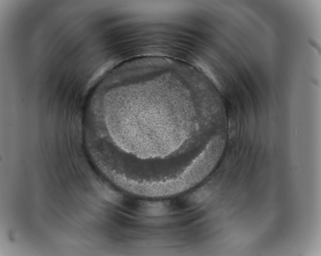 X0000097480349200803141939