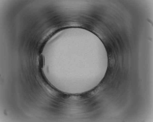 X0000097480350200803141939