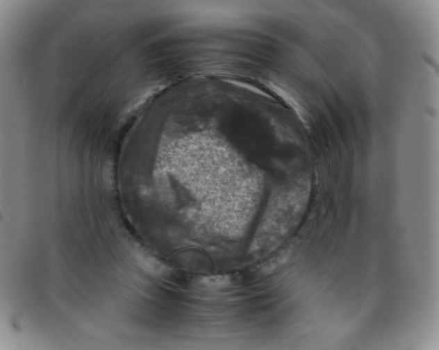 X0000097480353200803141939