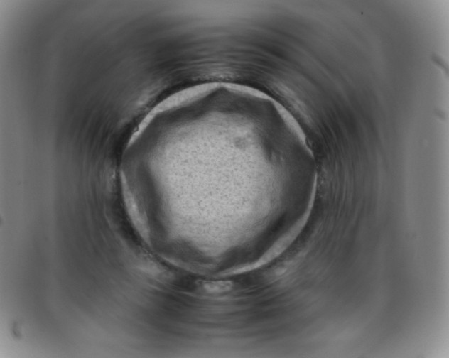 X0000097480355200803141939