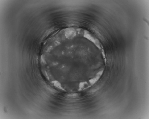 X0000097480357200803141940