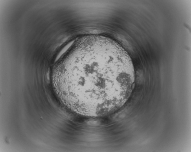 X0000097480358200803141940