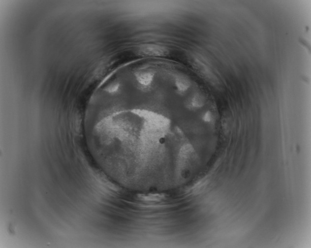 X0000097480359200803141940