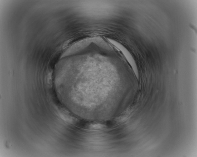 X0000097480360200803141940