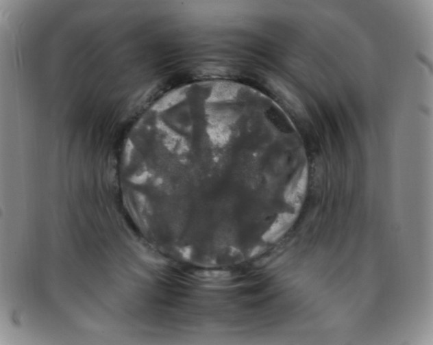 X0000097480361200803141940