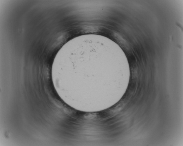 X0000097480362200803141940