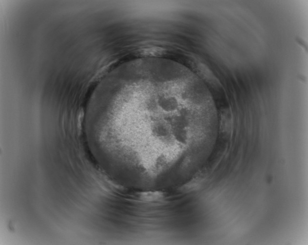 X0000097480363200803141940