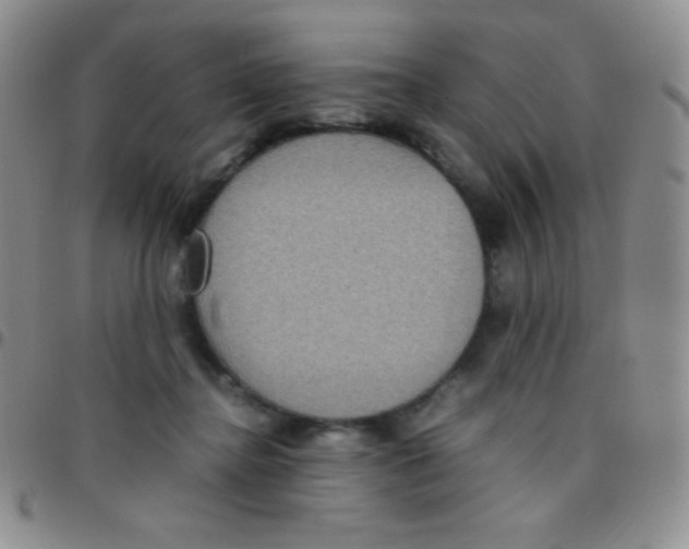 X0000097480364200803141940